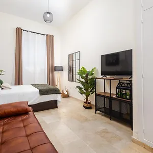 Central Studio Apartment Apartamento Málaga